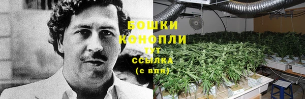 ешки Ладушкин