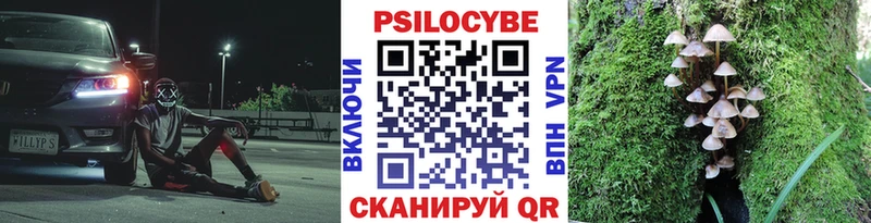 Галлюциногенные грибы прущие грибы omg зеркало Дыгулыбгей